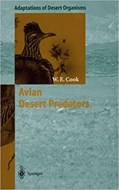 Avian Desert Predators