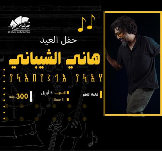 Hany El Shebany